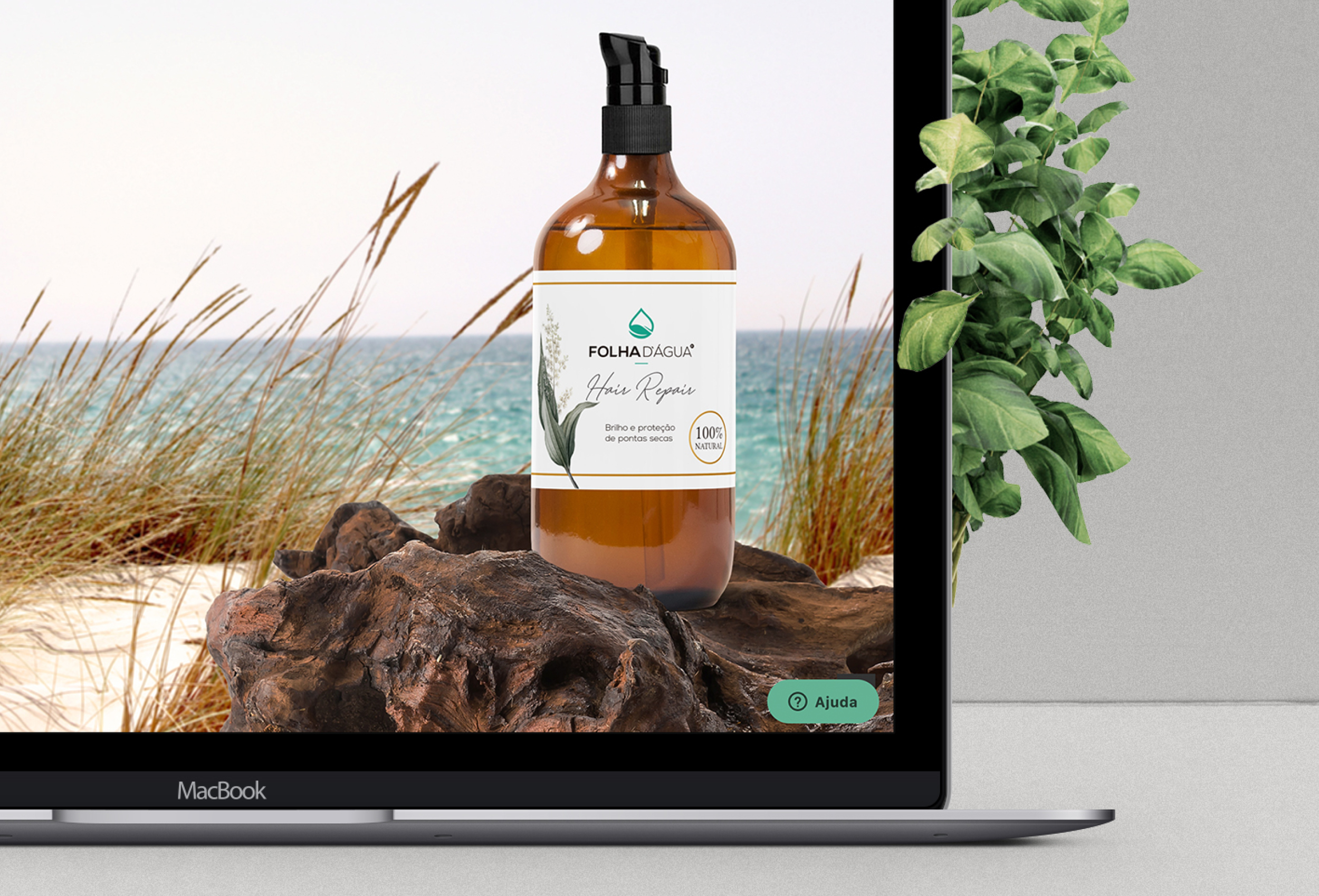 Folha d'Água Image 4